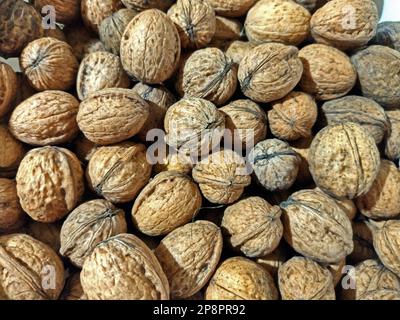 several walnuts isolated on white Stock Photo