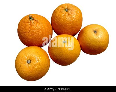oranges isolated on white background Stock Photo