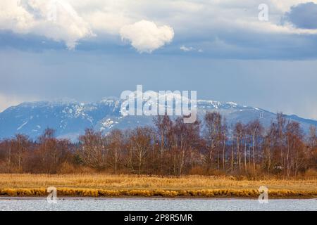 Coastal mountains rising above Vancouver in British Columbia Canada Stock Photo