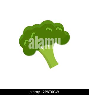 Broccoli Icon vector. Broccoli vegetable fresh farm healthy food. Broccoli colorful realistic icon vegetables symbol on white background. Stock Vector