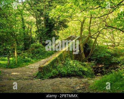 An old pack horse bridge crosses the river Washburn in a secluded valley in North Yorkshire Stock Photo