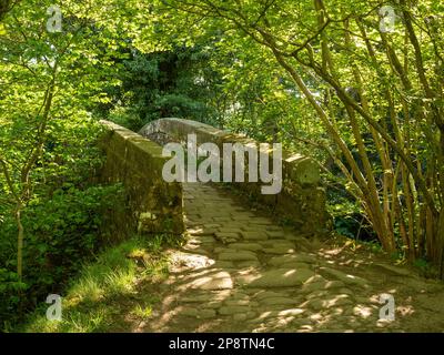 An old pack horse bridge crosses the river Washburn in a secluded valley in North Yorkshire Stock Photo