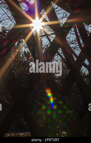 The sun through the trees. A beautiful park in spring with the bright sun breaking through the trees, the sun breaking through the trees. Stock Photo