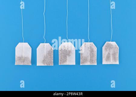White tea bags in a row on blue background Stock Photo