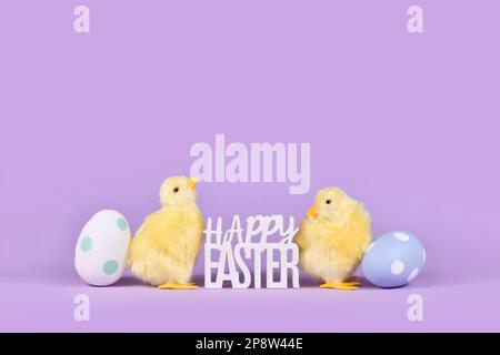 Easter eggs, chicken and text 'Happy Easter' on violet background with copy space Stock Photo