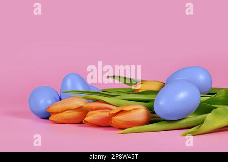 Orange Tulip spring flowers and blue Easter eggs on pink background with copy space Stock Photo