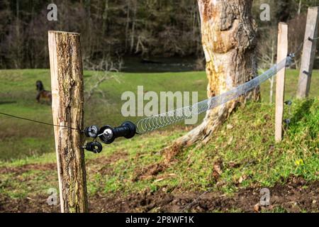 Wire fence under electricity for animals. Farming, cattle breeding in rural areas. Protection from animals from escape. Stock Photo