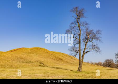 Sunny view of the Cahokia Mounds State Historic Site at Illinois Stock Photo