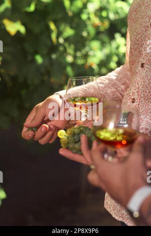 Cognac in a glass against the backdrop of an open-air grape garden. man's hands holds a glass of cognac against the background of grape fields. Alcoho Stock Photo
