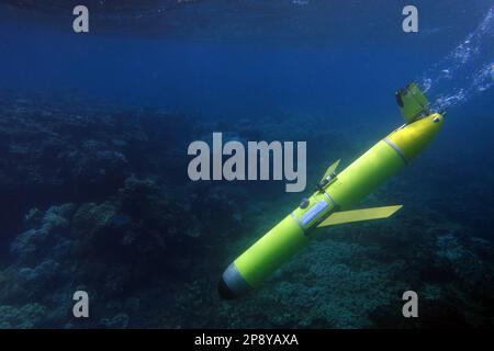 View of underwater research on a coral reef using digital photography to do ...
