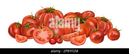 A large composition of red ripe tomatoes of different varieties. Slices, halves, cherry tomatoes. Digital illustration on a white background. For pack Stock Photo