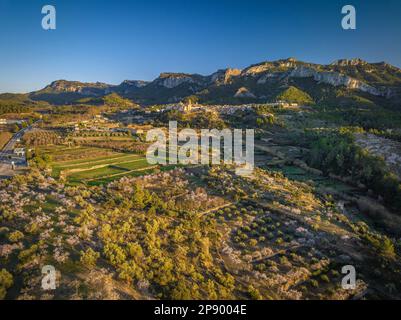 Aerial view of the town of Tivissa, the Serra de Tivissa range and fields of olive and almond trees in bloom in a spring sunset (Ribera d'Ebre, Spain) Stock Photo