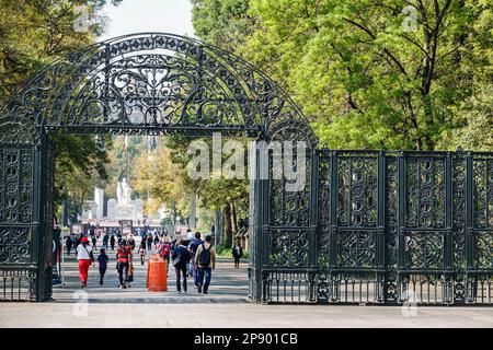 Lions Gate entrance to Chapultepec Park in Mexico City Stock Photo - Alamy