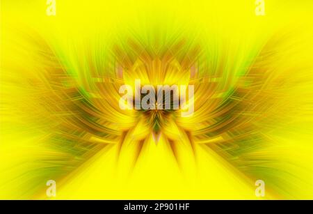 Colorful floral fractal to create a beautiful abstract background Stock Photo
