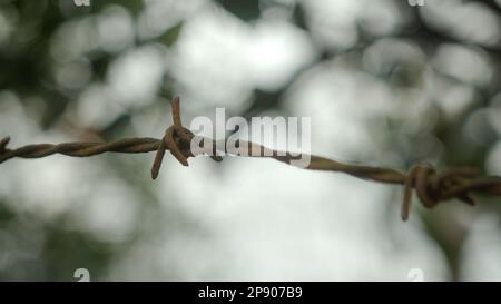 Extreme Close-up of Rusty Barbed Wire: Detail Shot of Weathered Fence Stock Photo
