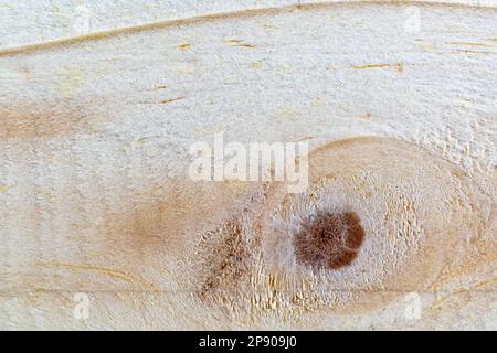 Closeup view natural texture of wooden board wood background. Wood pattern texture used for interior furniture decoration. Stock Photo
