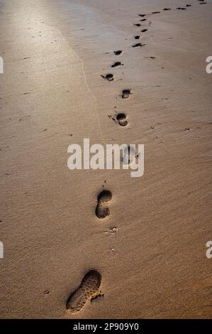 Single set of footprints in the sand on a beach in Ireland Stock Photo
