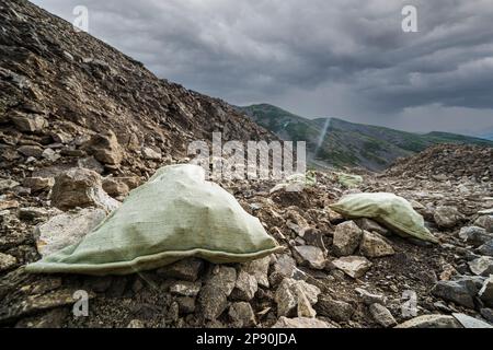 Soil Test. Agronomist putting soil with garden shovel in soil sample bag outdoor. Environmental research Stock Photo
