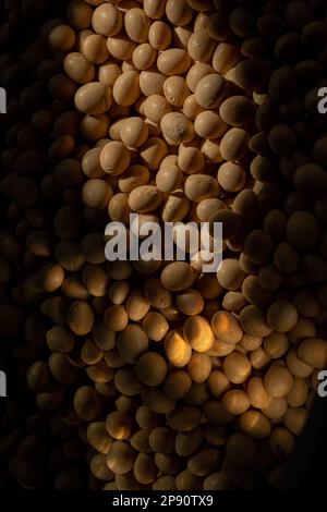 Top View of Soy beans seeds grain. Soybeans. Soya. Healthy Produce. Vegan. Stock Photo