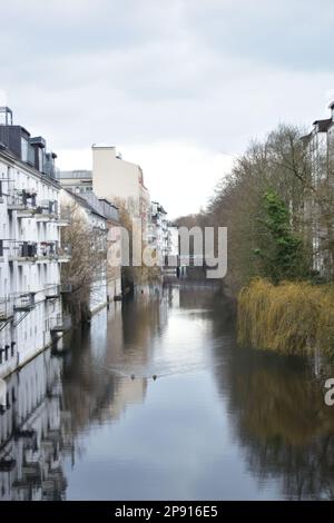 Canal in Hamburg and ducks swimming Stock Photo