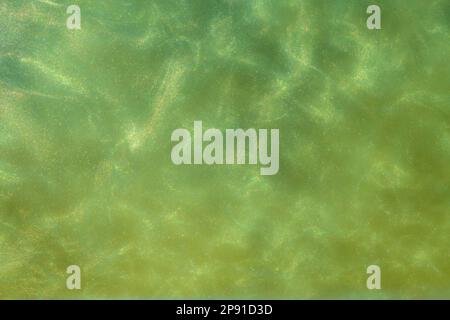 Green Shiny Abstract Background. Paints, Acrylic, Glitter in Water. Green Shiny Liquid Surface, Ripples, Waves. Stock Photo