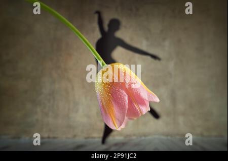 Abstract Shadow Ballerina Dancing Wearing Skirt from Tulip Flower Stock Photo