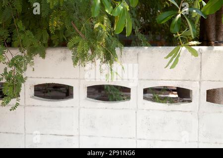 Trees overhanging a white concrete fence on a sunny day. Focus on the foliage, blurred fence Stock Photo