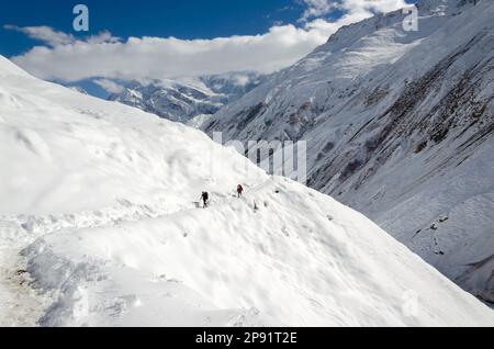 Yak Kharka, Tanki Manang 33500, Nepal Stock Photo