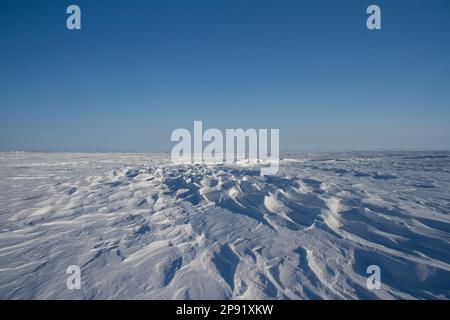 Beautiful patterns of sastrugi, parallel wavelike ridges caused by winds on surface of hard snow, with a blue sky, near Arviat, Nunavut, Canada.  Stock Photo