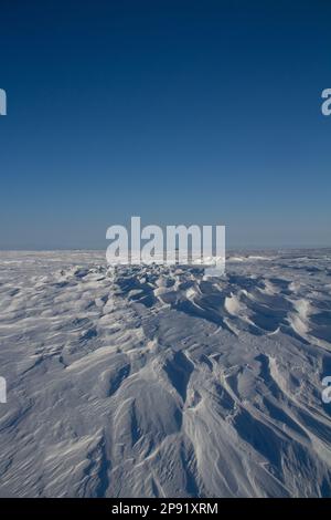 Beautiful patterns of sastrugi, parallel wavelike ridges caused by winds on surface of hard snow, with a blue sky, near Arviat, Nunavut, Canada.  Stock Photo