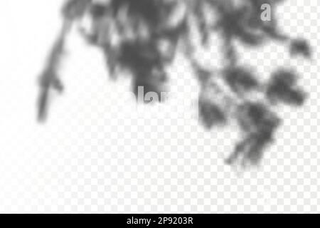 The effect of overlaying shadows.Realistic shadow tropical leaves and branches on transparent checkered background. Natural light layout. Stock Vector