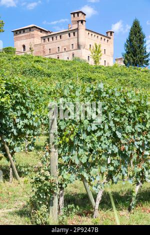 Vineyard in Piedmont Region, Italy, with Grinzane Cavour castle in the background. The Langhe is the wine district of Barolo wine Stock Photo