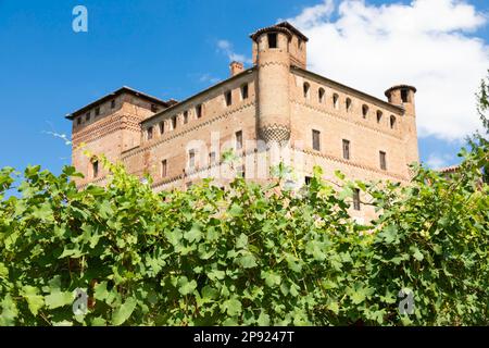 Vineyard in Piedmont Region, Italy, with Grinzane Cavour castle in the background. The Langhe is the wine district of Barolo wine Stock Photo