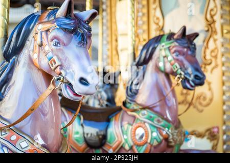 Florence, Italy - Circa March 2022: vintage carousel horse - antique attraction Stock Photo