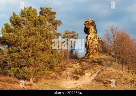 Camel Rock Westerhausen in the Harz Mountains Stock Photo