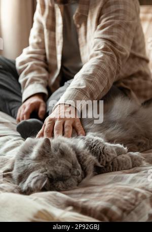 a caucasian man relaxing at home, cuddling his gray fluffy cat in bed Stock Photo