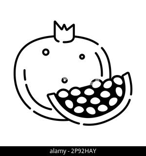 Pomegranate black and white vector line illustration Stock Vector