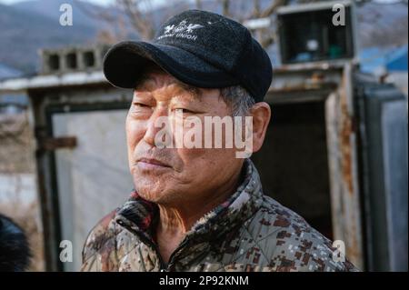 Asan, South Korea. 08th Mar, 2023. Farmer Mr. Yang is shown at his dog meat farm in Asan, South Korea, on Tuesday, March 7, 2023. The farm is closing as the dog meat trade continues to decline amid changing social attitudes and health concerns. Photo by Thomas Maresca/UPI Credit: UPI/Alamy Live News Stock Photo