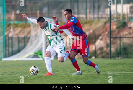 La Nucia, Spain – January 16, 2023. Viktoria Plzen goalkeeper Marian Tvrdon  during club friendly Ferencvaros vs Viktoria Plzen (0-0 Stock Photo - Alamy