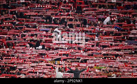 MUNICH, GERMANY - MARCH 08: UEFA Champions League round of 16 leg two match between FC Bayern MŸnchen and Paris Saint-Germain at Allianz Arena on March 08, 2023 in Munich, Germany. SŸdkurve Fans   © diebilderwelt / Alamy Stock Stock Photo