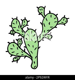 Tropical cactus, green and black doodle Stock Vector