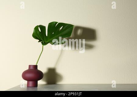 Green monstera leaf in vase on grey table against beige background. Space for text Stock Photo