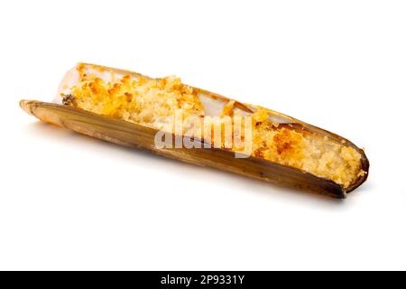 Italian "cannolicchio gratinato" (Gratin grooved razor shell) on a white background Stock Photo