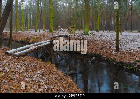 Small narrow river in winter in a forest, winter landscape, High seat for hunters and self-built bridge made of tree trunks Stock Photo