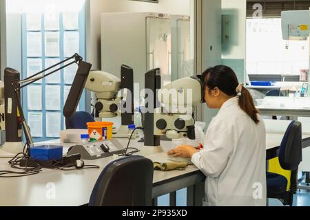 England, West Sussex, Wakehurst, Millennium Seed Bank, Atrium Exhibition Space, Female Laboratory Technician at Work Stock Photo