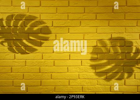 Shadows of monstera leaves on yellow brick wall Stock Photo