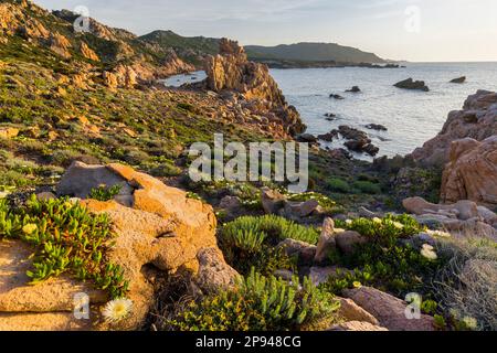 Coast at Spiaggia di Cala li Cossi, Costa Paradiso, Sardinia, Italy Stock Photo