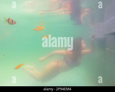 North America, Caribbean, Greater Antilles, Hispaniola Island, Dominican Republic, Sama, woman diving in the natural pool of the Hotel Hacienda Cocuyo in Sama Stock Photo