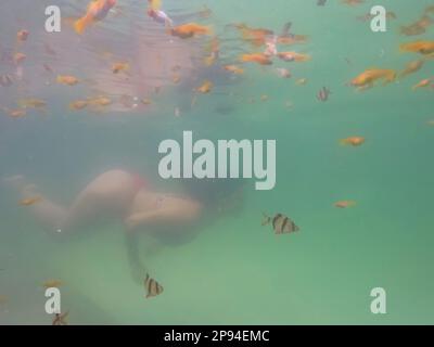 North America, Caribbean, Greater Antilles, Hispaniola Island, Dominican Republic, Sama, woman diving in the natural pool of the Hotel Hacienda Cocuyo in Sama Stock Photo