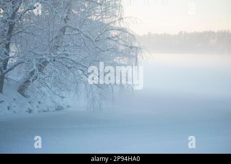 Winter, icy foggy day, birch branches hanging over frozen lake, Finland Stock Photo